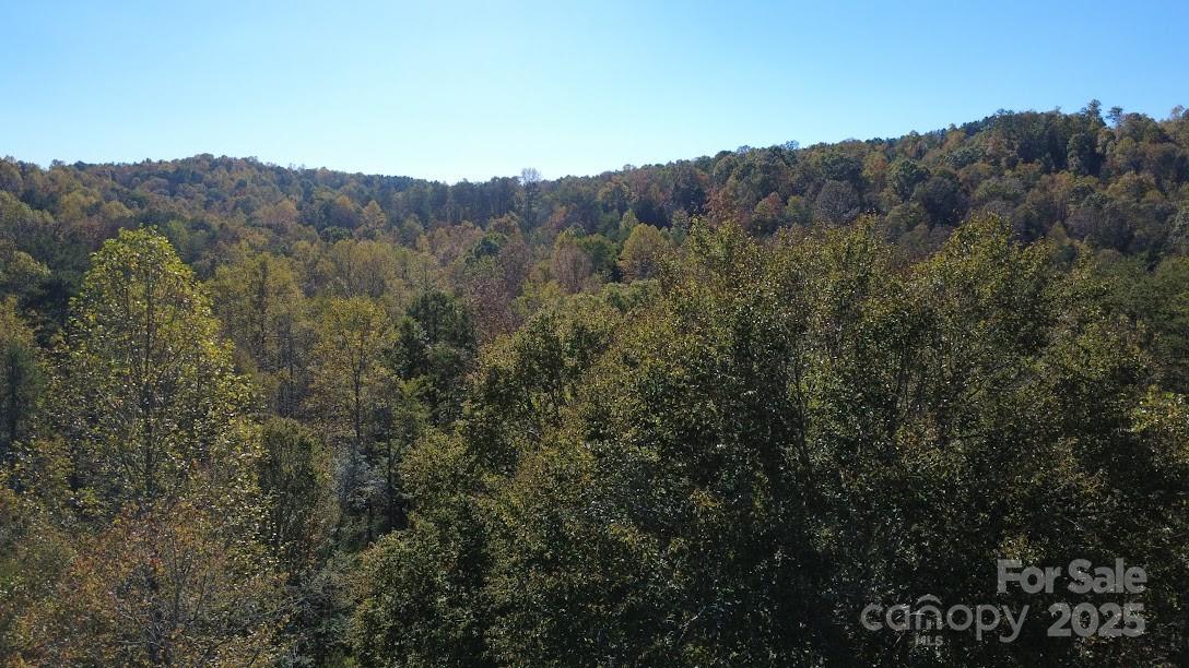 Tbd Cross Creek Drive Rutherfordton NC 28139