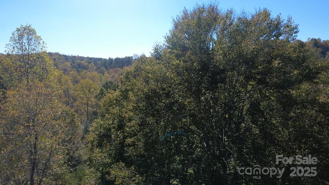Tbd Cross Creek Drive Rutherfordton NC 28139