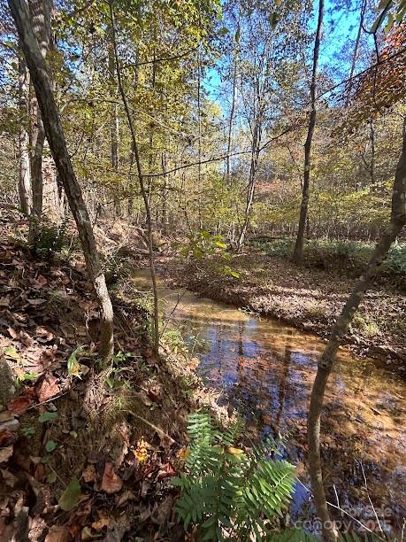 Tbd Cross Creek Drive Rutherfordton NC 28139
