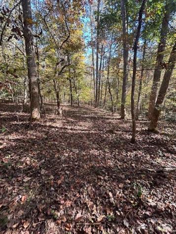Tbd Cross Creek Drive Rutherfordton NC 28139