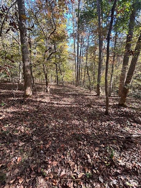Tbd Cross Creek Drive Rutherfordton NC 28139