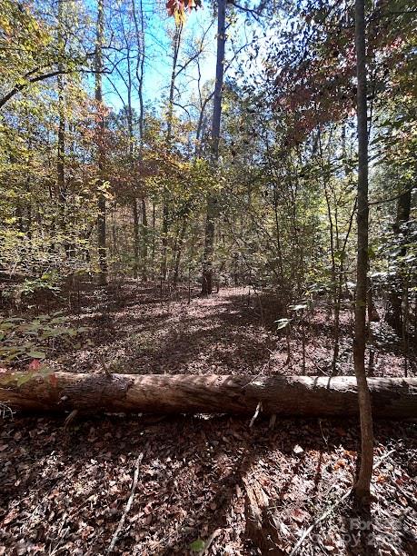 Tbd Cross Creek Drive Rutherfordton NC 28139