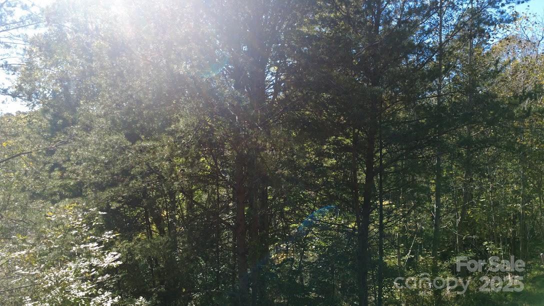 Tbd Cross Creek Drive Rutherfordton NC 28139