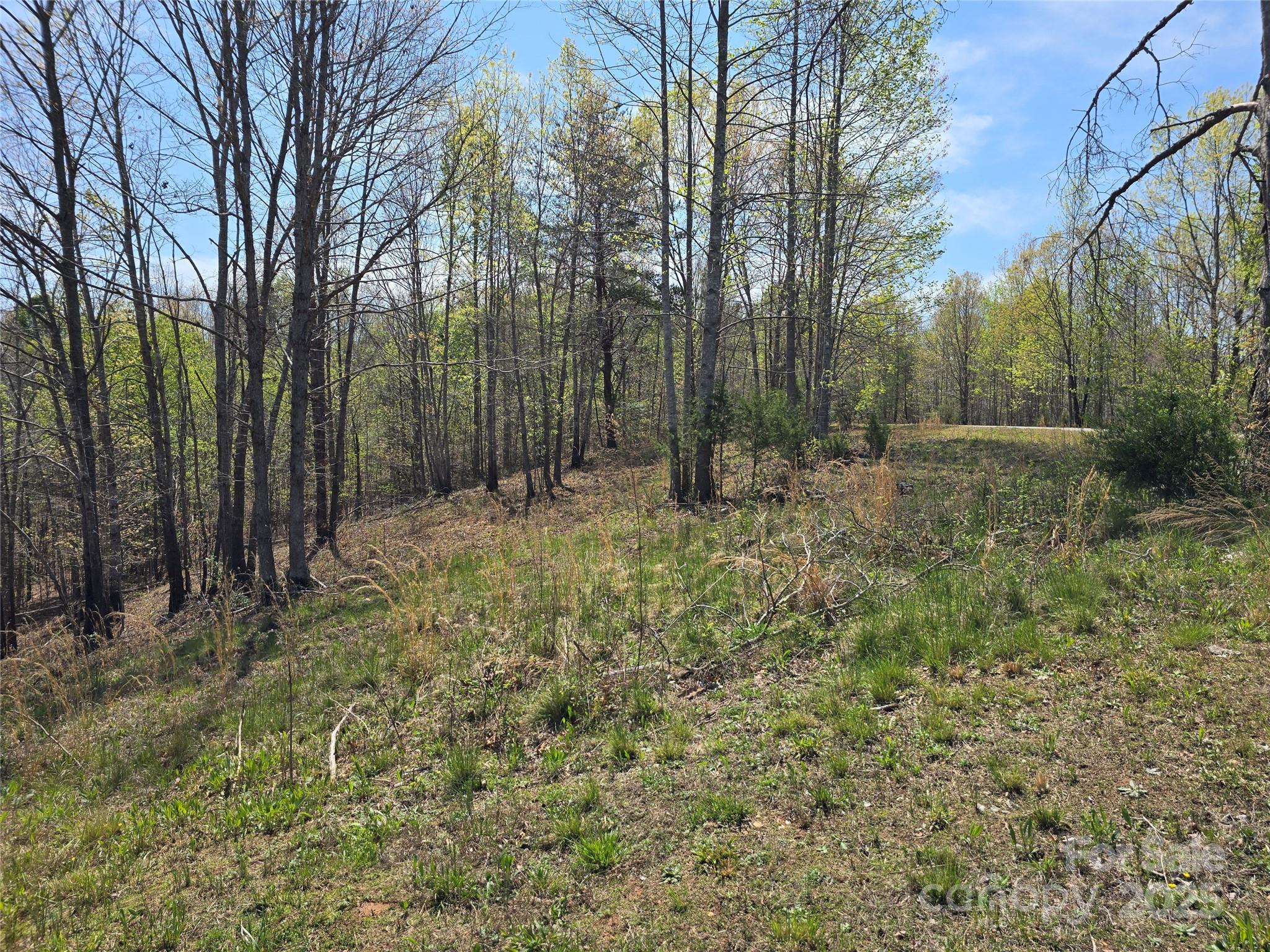 0 Hickory Loop Rutherfordton NC 28139