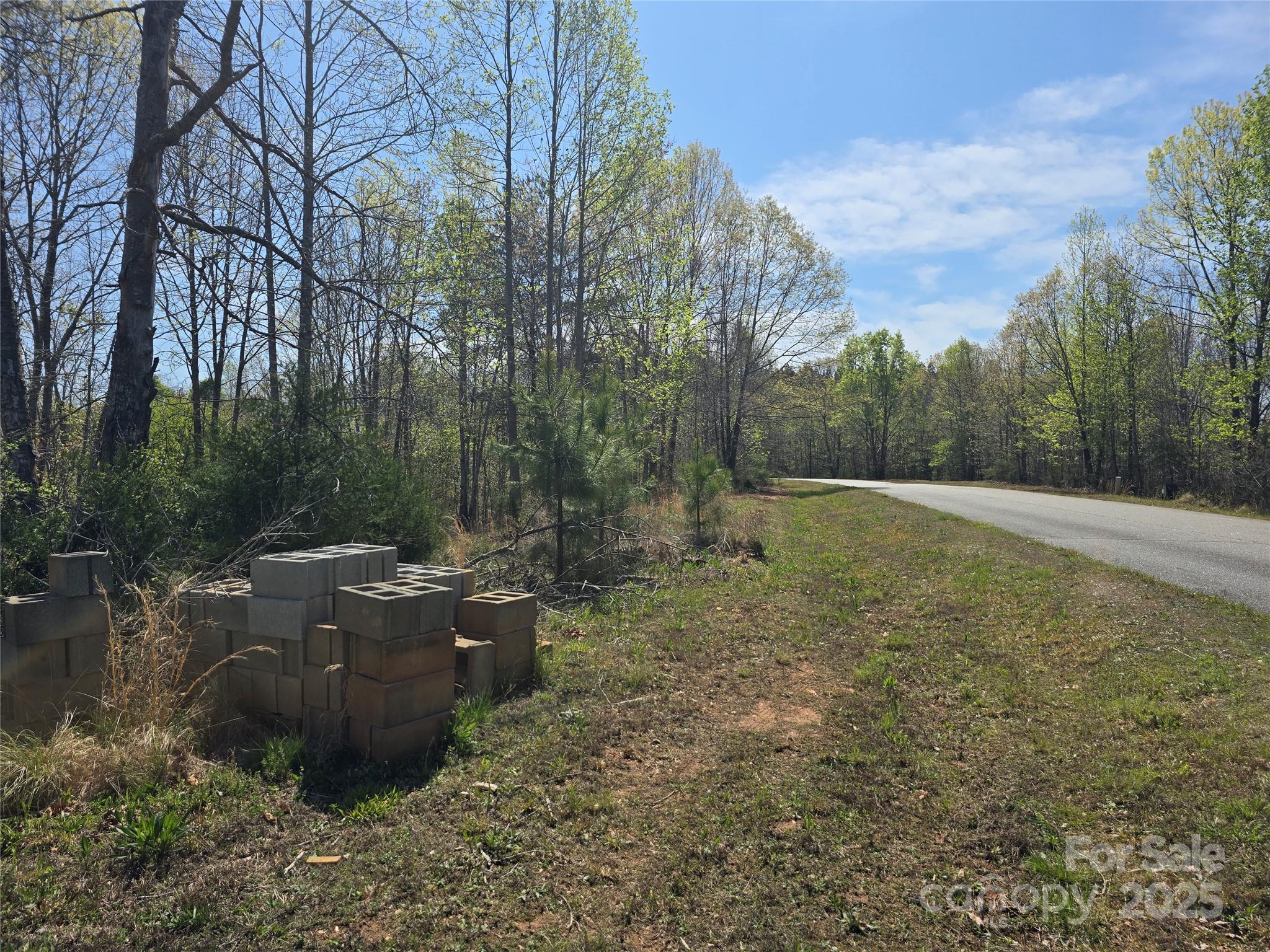 0 Hickory Loop Rutherfordton NC 28139