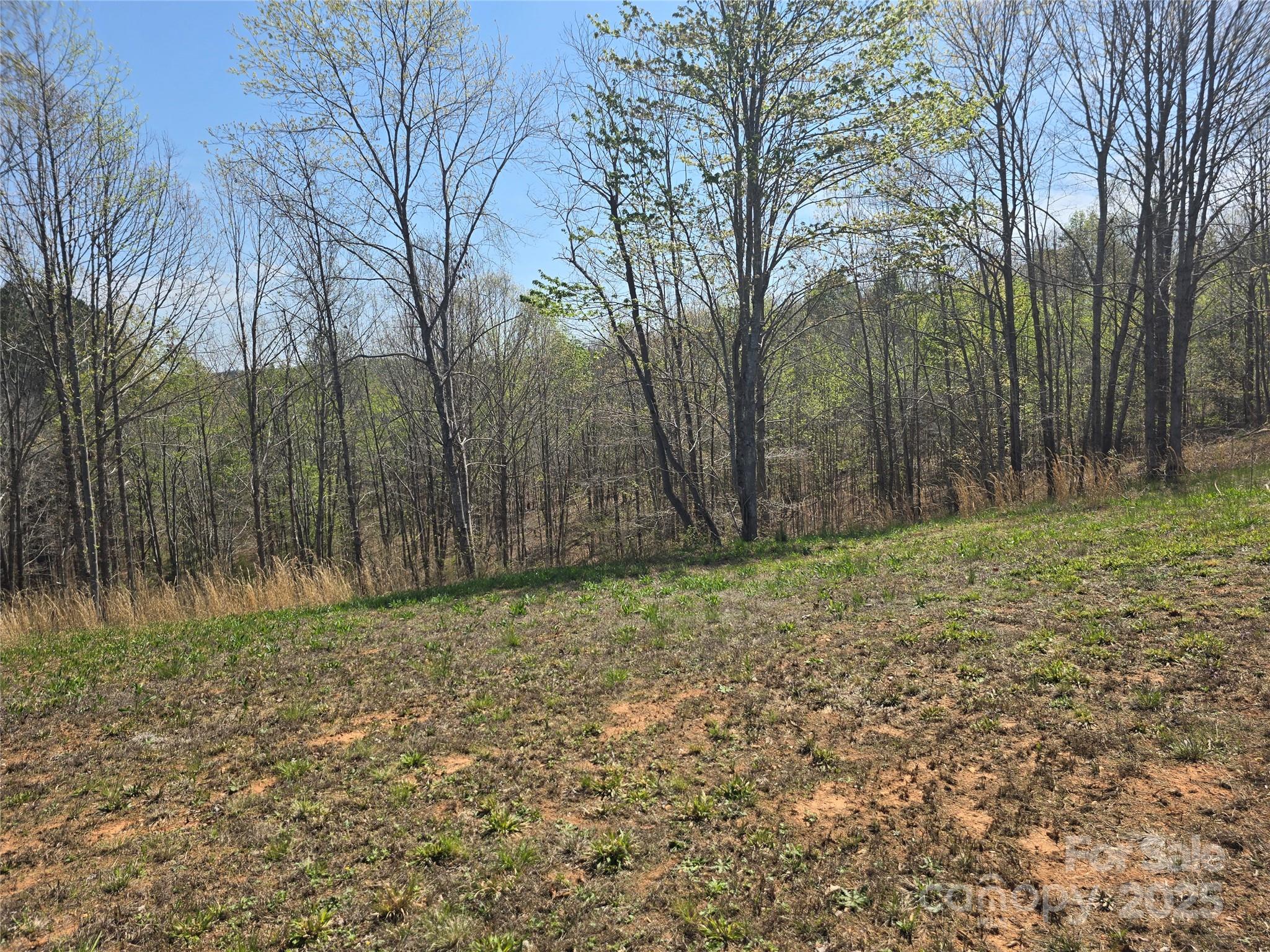 0 Hickory Loop Rutherfordton NC 28139