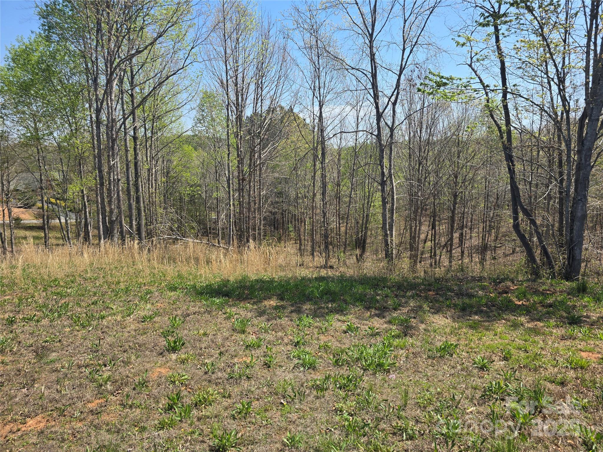0 Hickory Loop Rutherfordton NC 28139