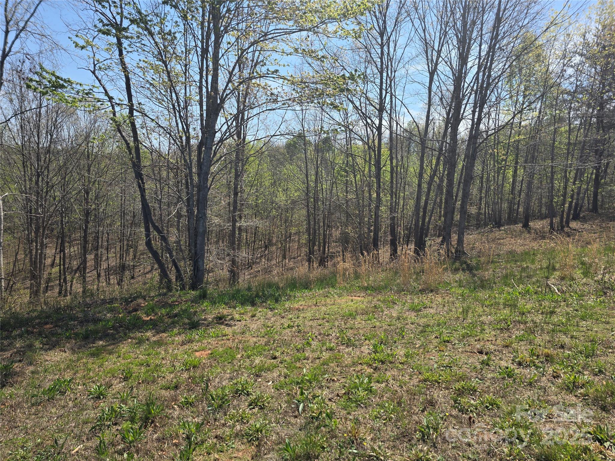 0 Hickory Loop Rutherfordton NC 28139
