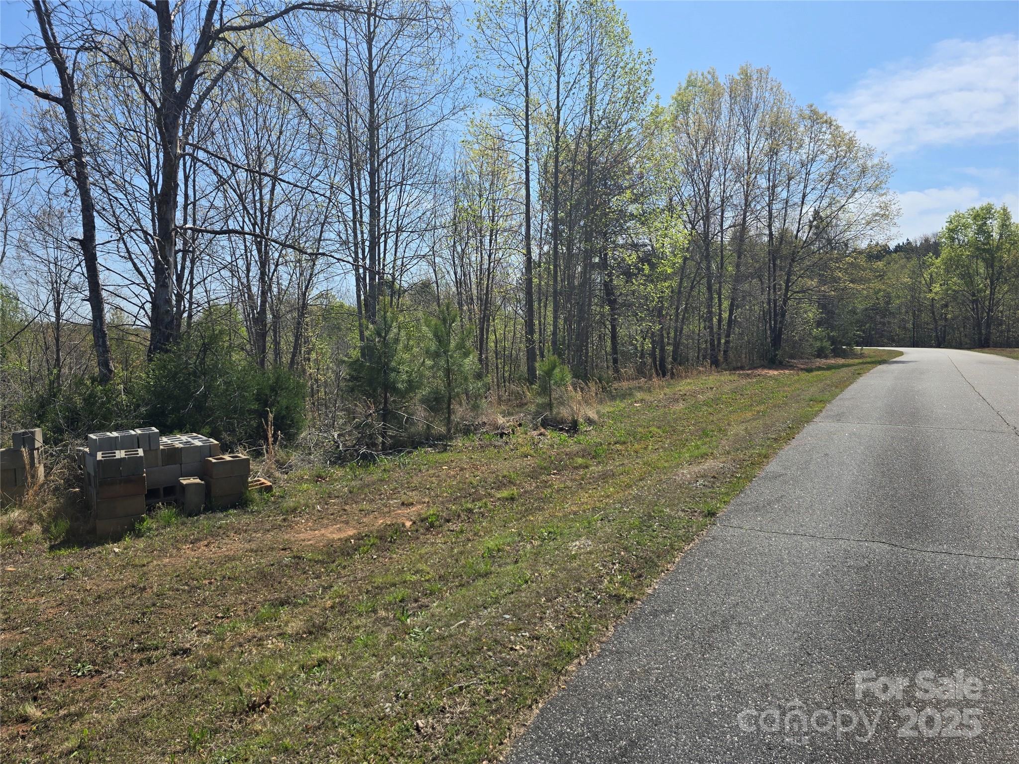 0 Hickory Loop Rutherfordton NC 28139