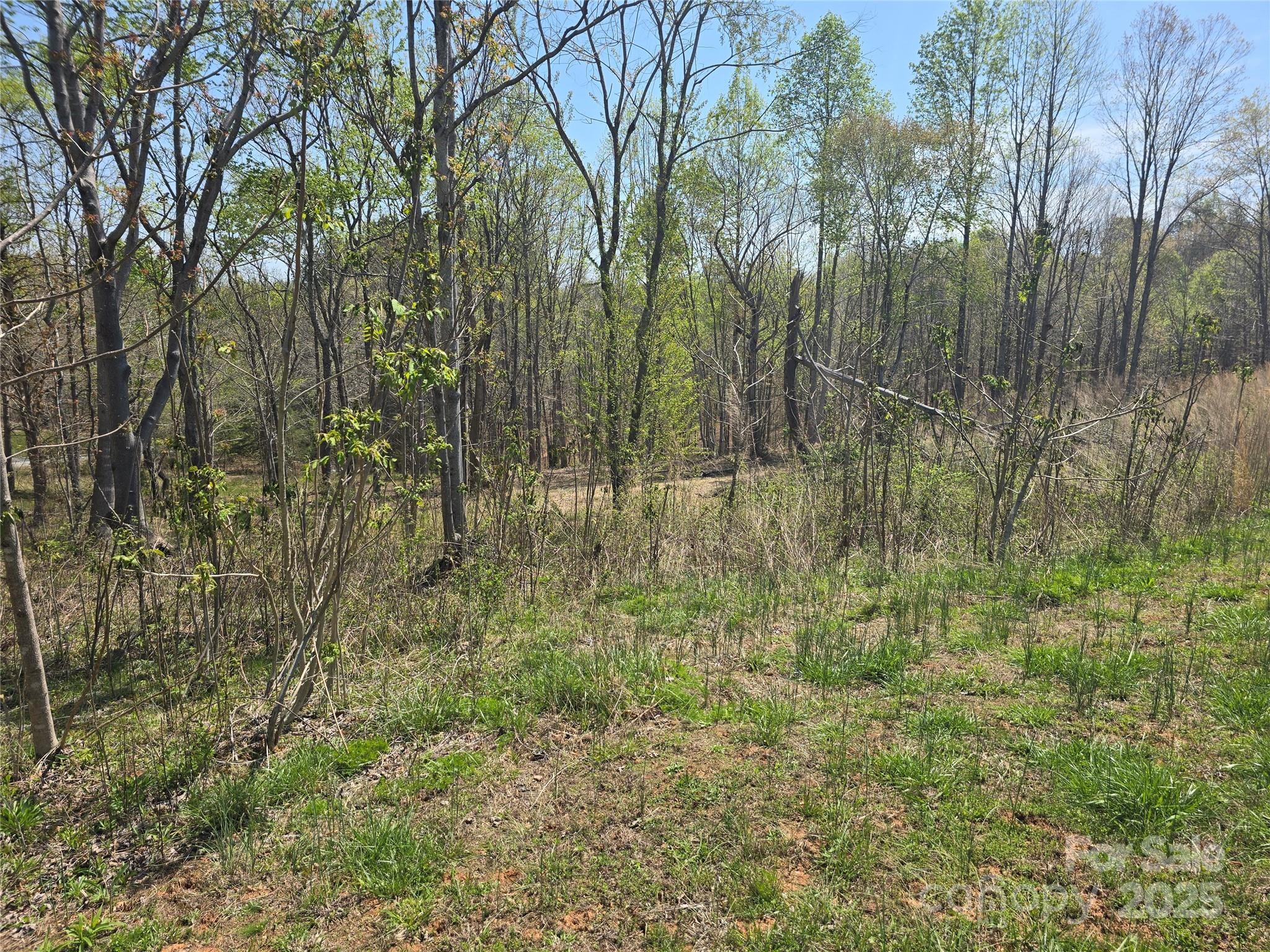 0 Hickory Loop Rutherfordton NC 28139