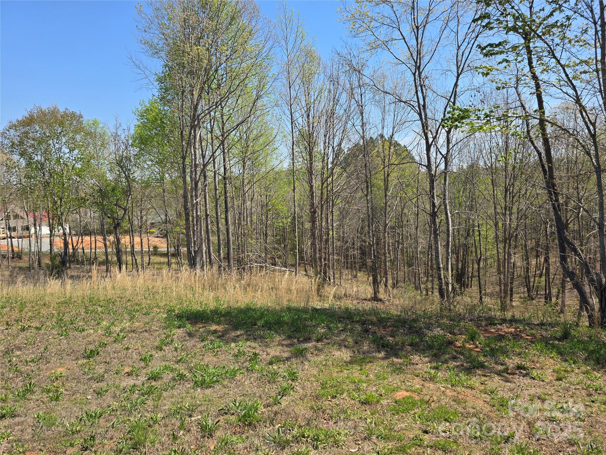 0 Hickory Loop Rutherfordton NC 28139