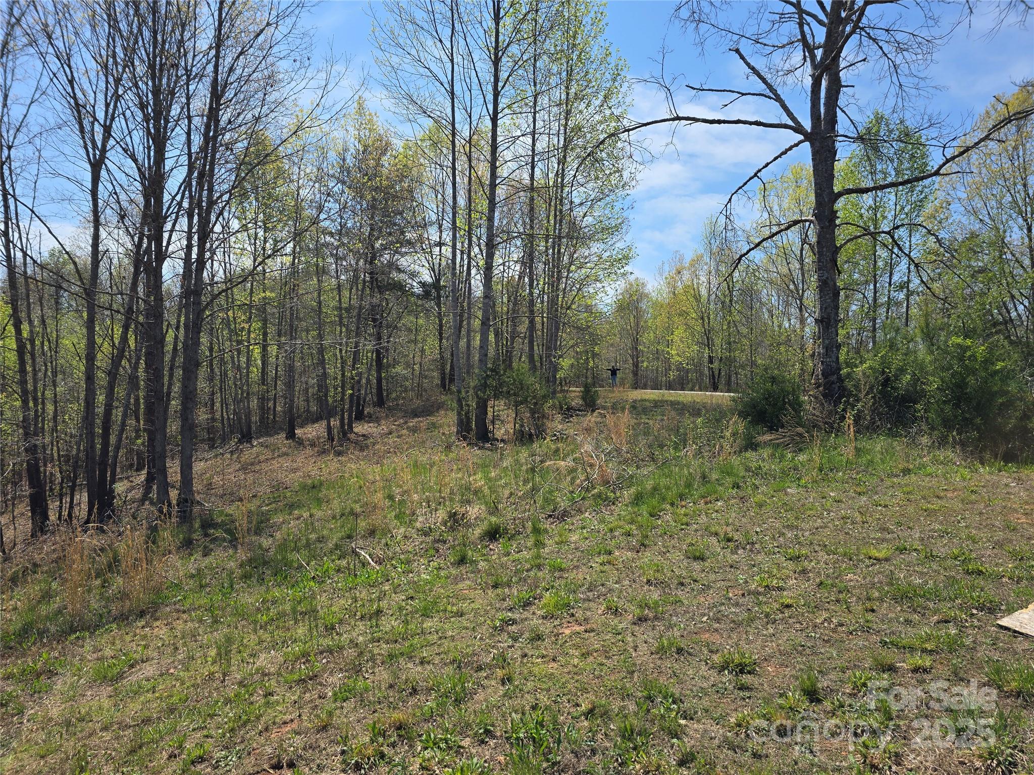 0 Hickory Loop Rutherfordton NC 28139