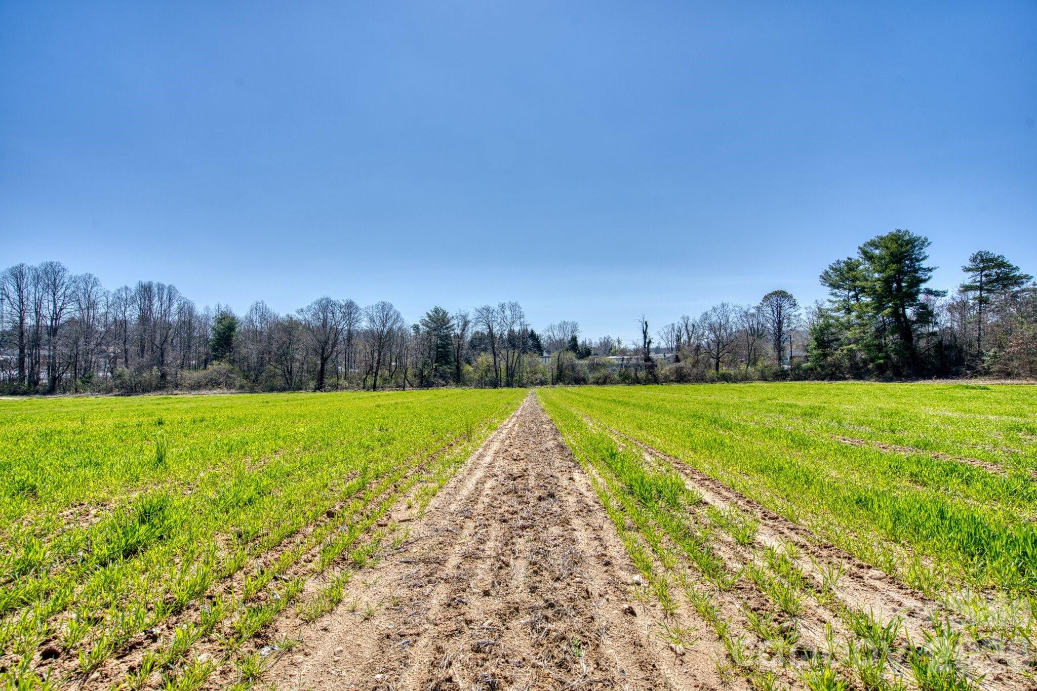 Tbd Mohican Trail Hendersonville NC 28726