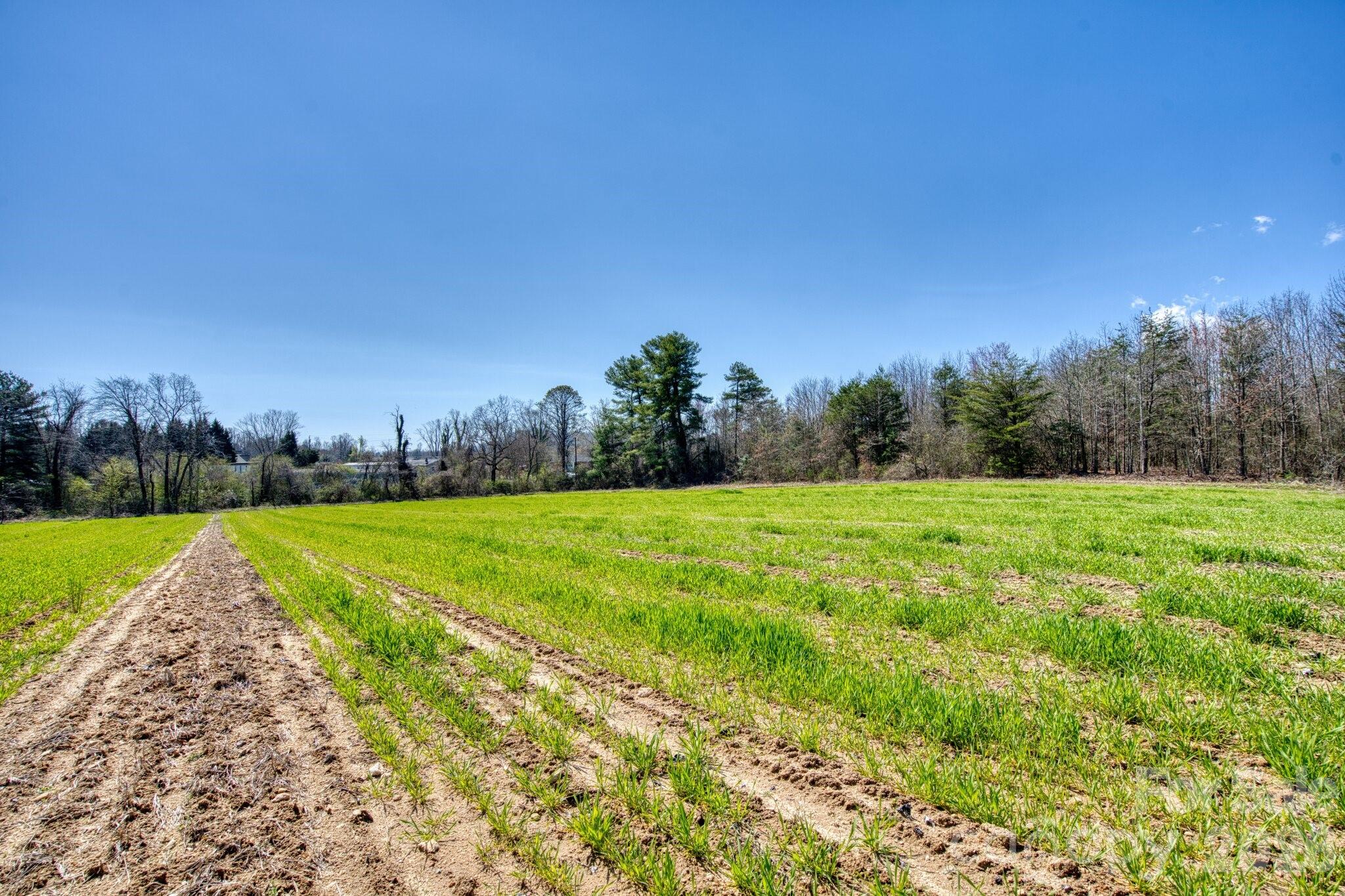 Tbd Mohican Trail Hendersonville NC 28726