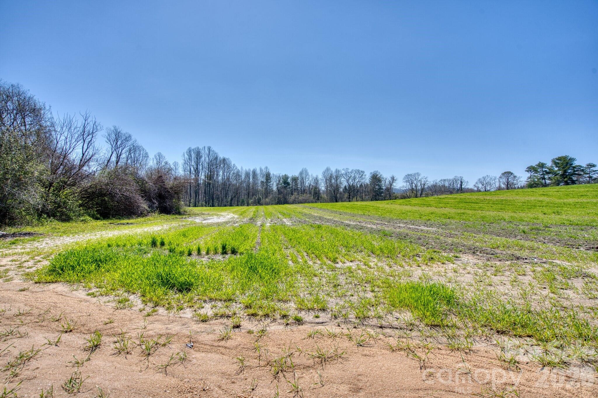 Tbd Mohican Trail Hendersonville NC 28726