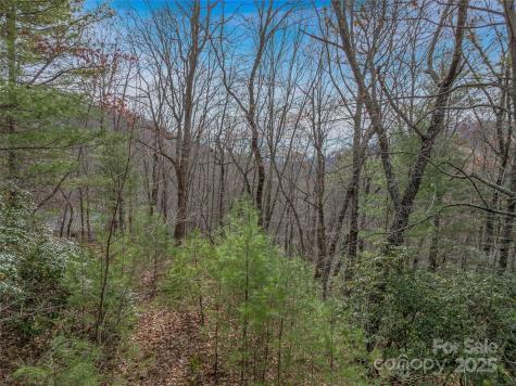 9999-17 Bob Barnwell Road Asheville NC 28803