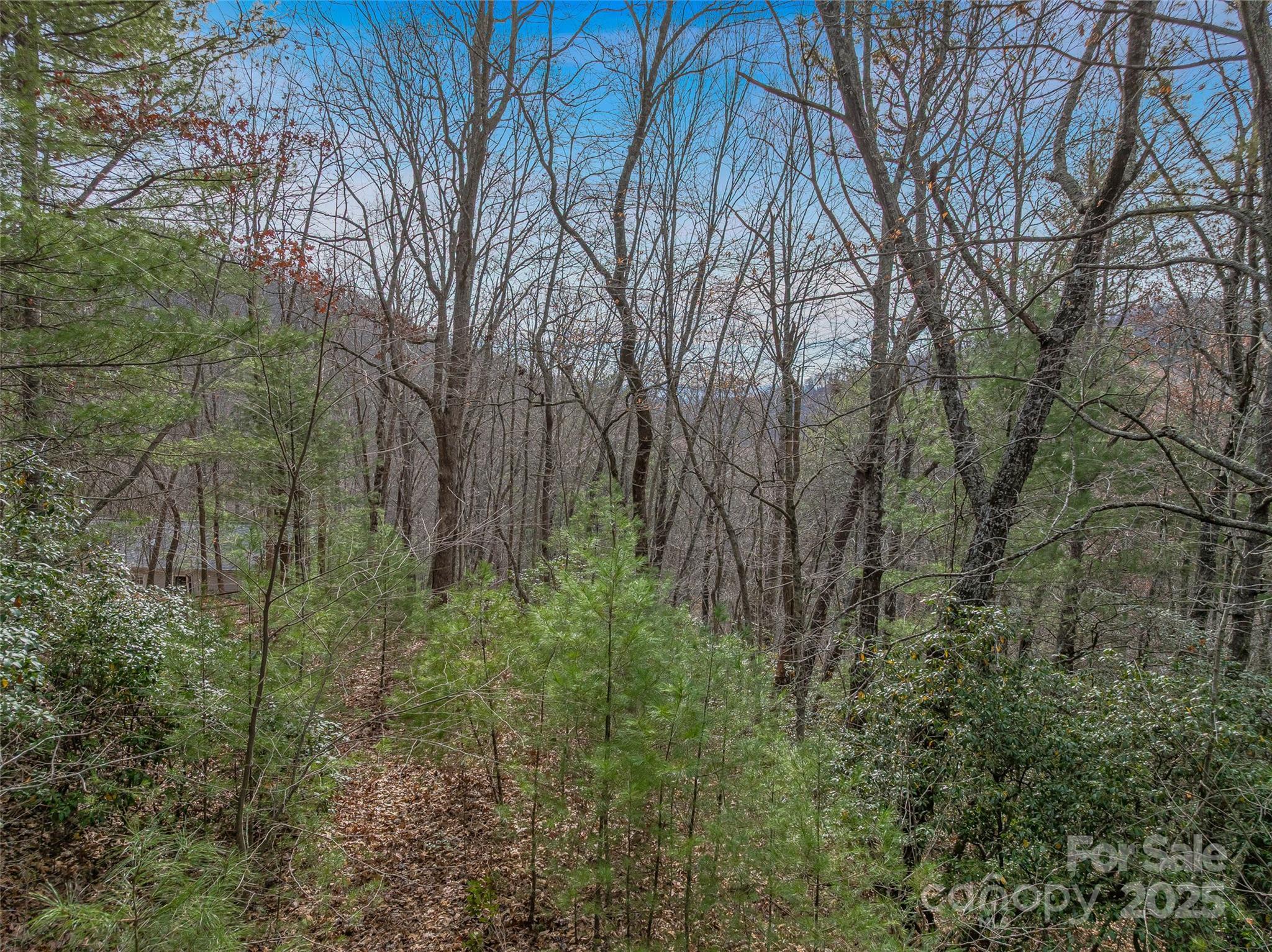 9999-17 Bob Barnwell Road Asheville NC 28803