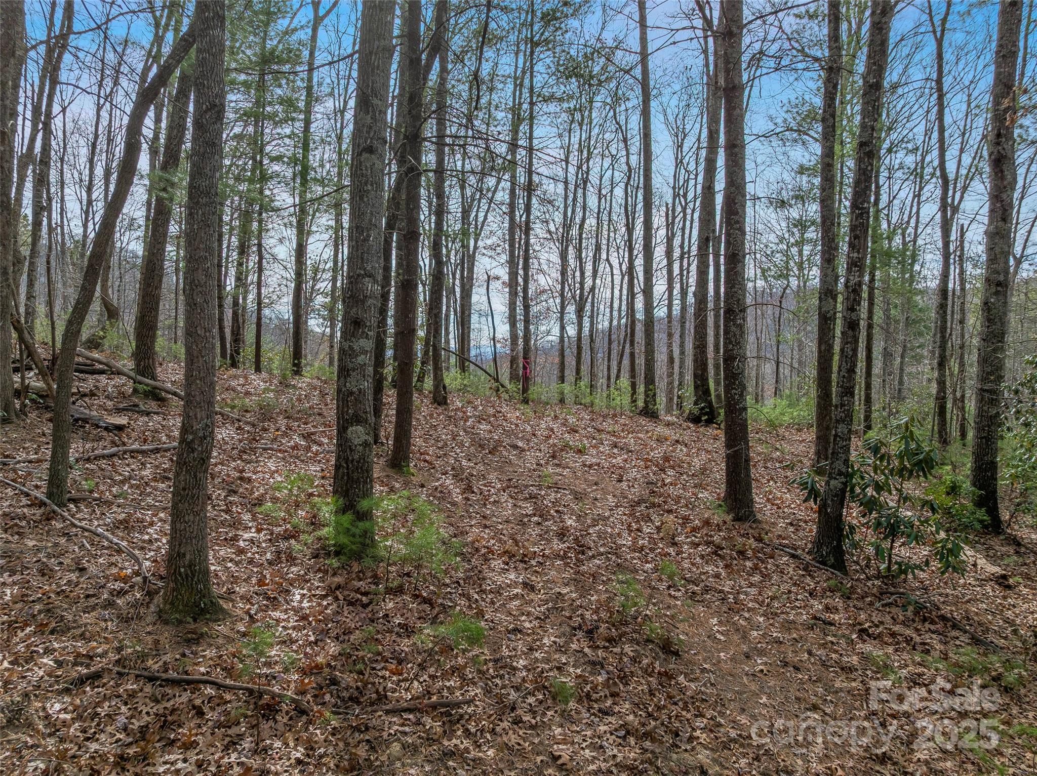 9999-17 Bob Barnwell Road Asheville NC 28803