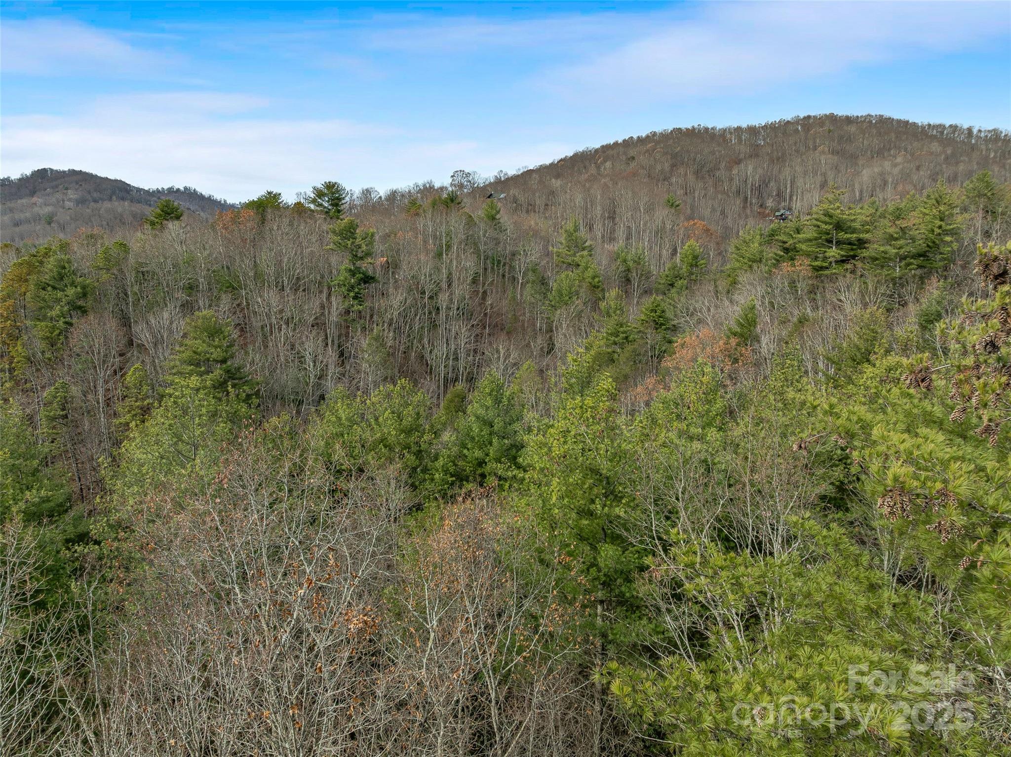 9999-17 Bob Barnwell Road Asheville NC 28803