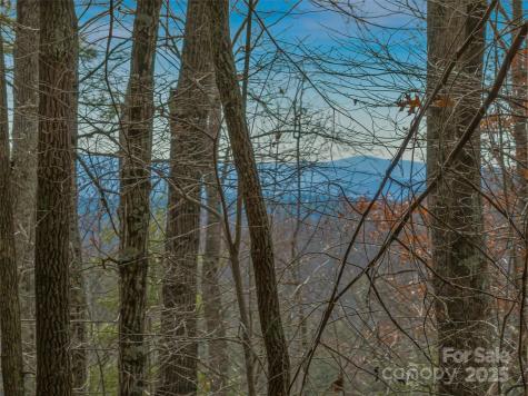 9999-17 Bob Barnwell Road Asheville NC 28803