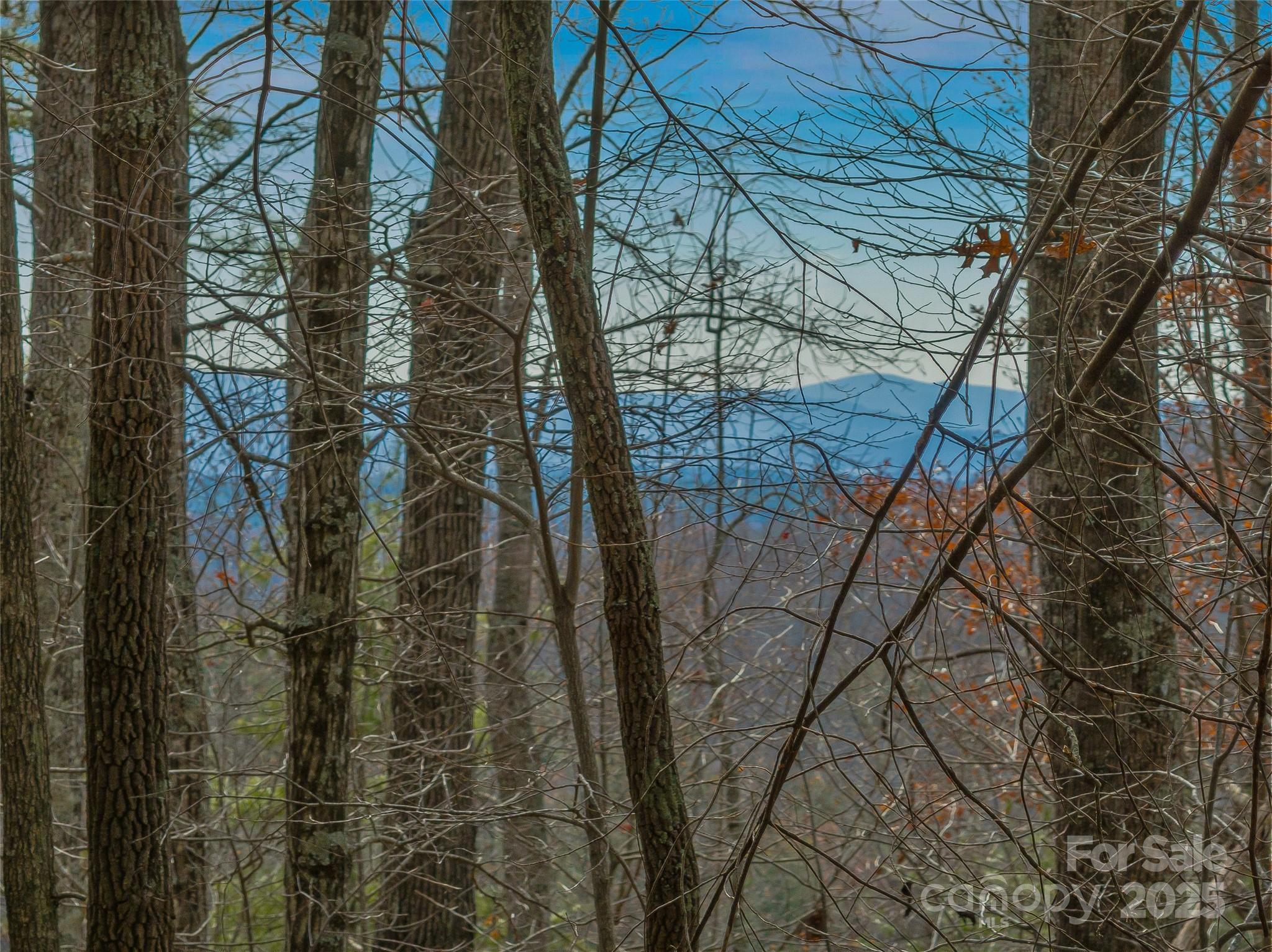 9999-17 Bob Barnwell Road Asheville NC 28803
