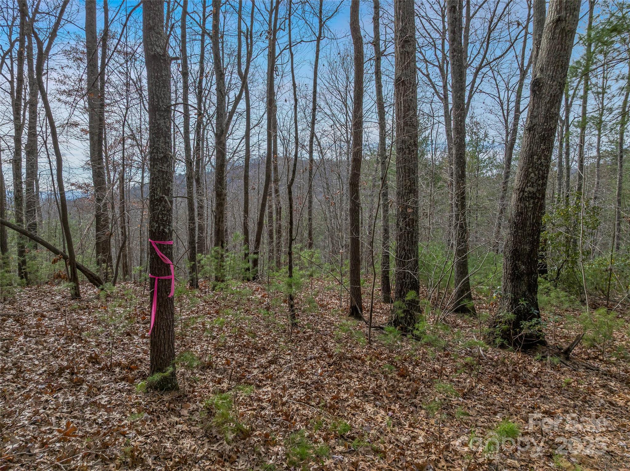 9999-17 Bob Barnwell Road Asheville NC 28803