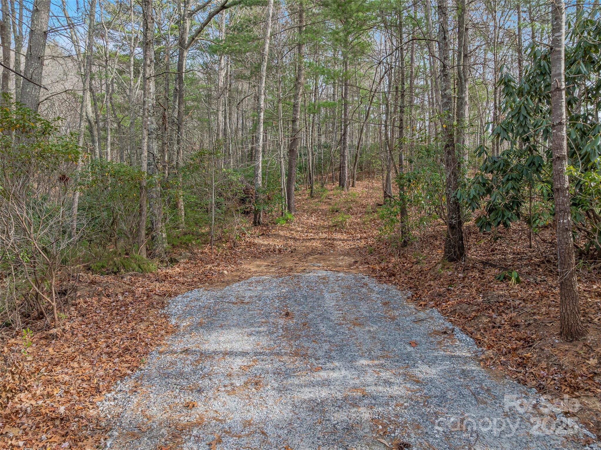 9999-17 Bob Barnwell Road Asheville NC 28803