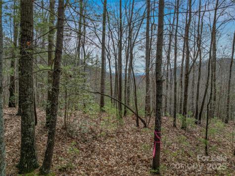 9999-17 Bob Barnwell Road Asheville NC 28803