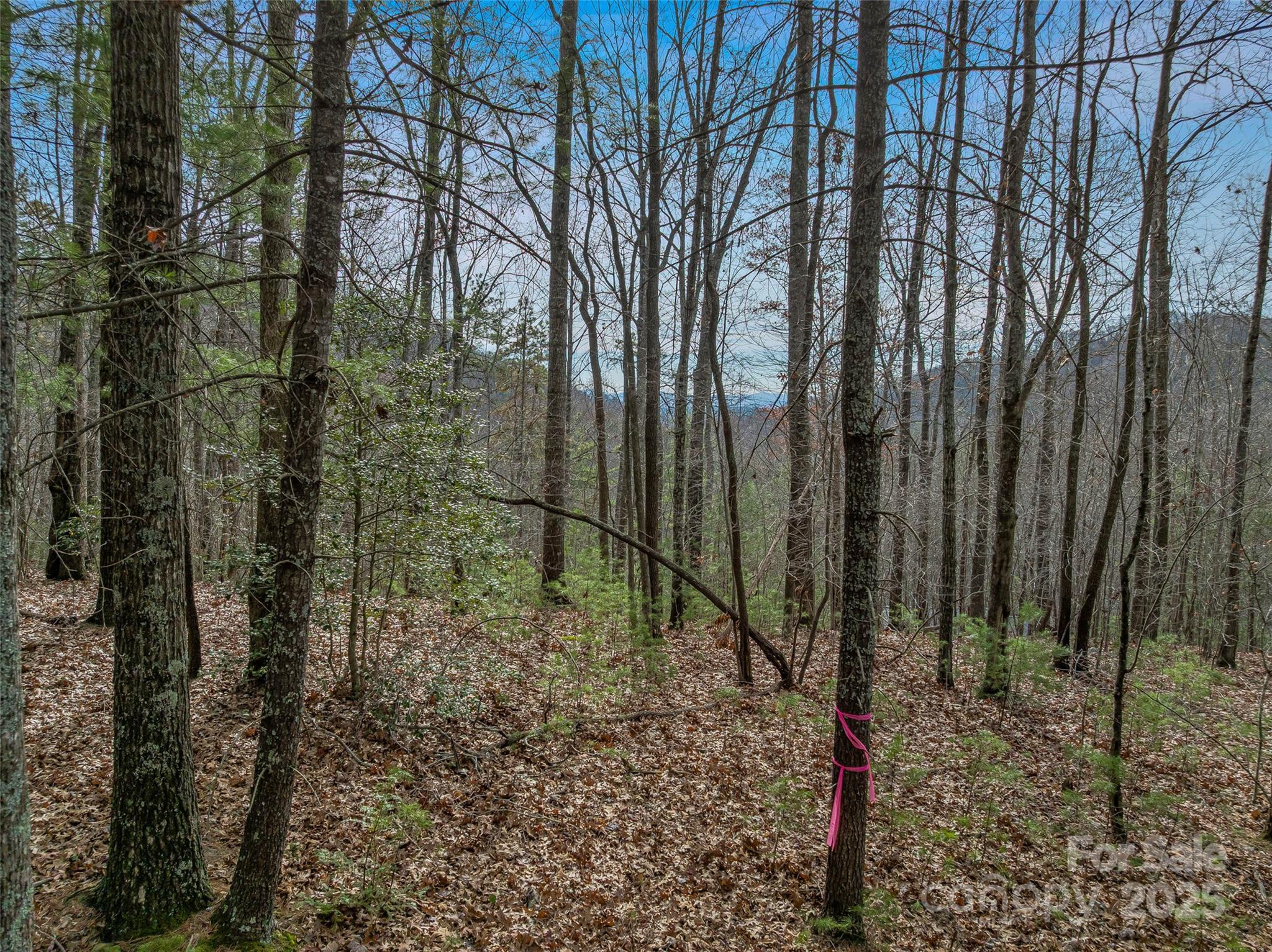 9999-17 Bob Barnwell Road Asheville NC 28803