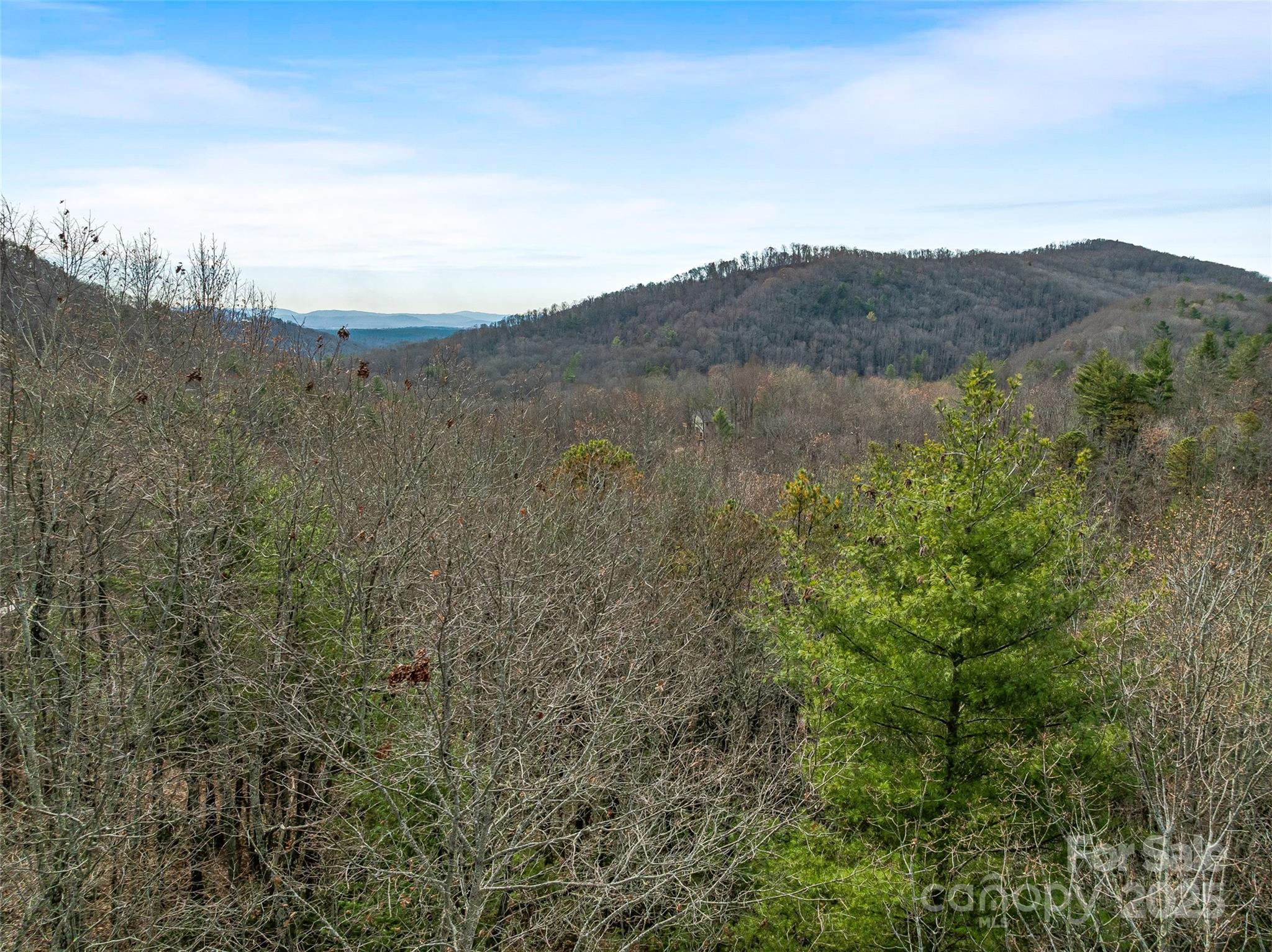 9999-17 Bob Barnwell Road Asheville NC 28803