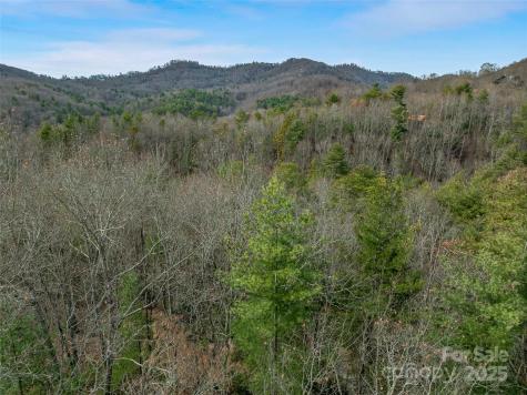 9999-17 Bob Barnwell Road Asheville NC 28803