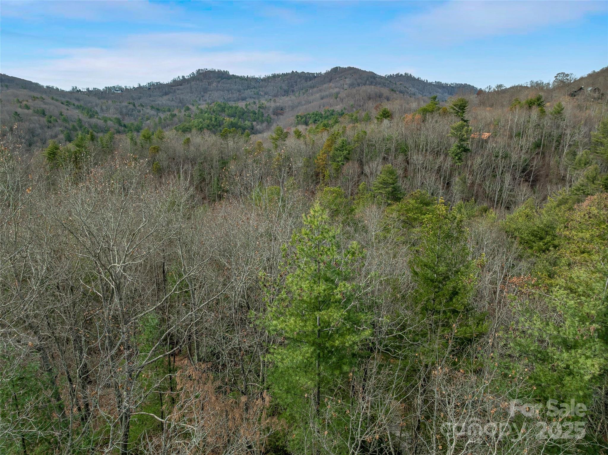 9999-17 Bob Barnwell Road Asheville NC 28803