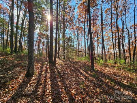 9999-17 Bob Barnwell Road Asheville NC 28803