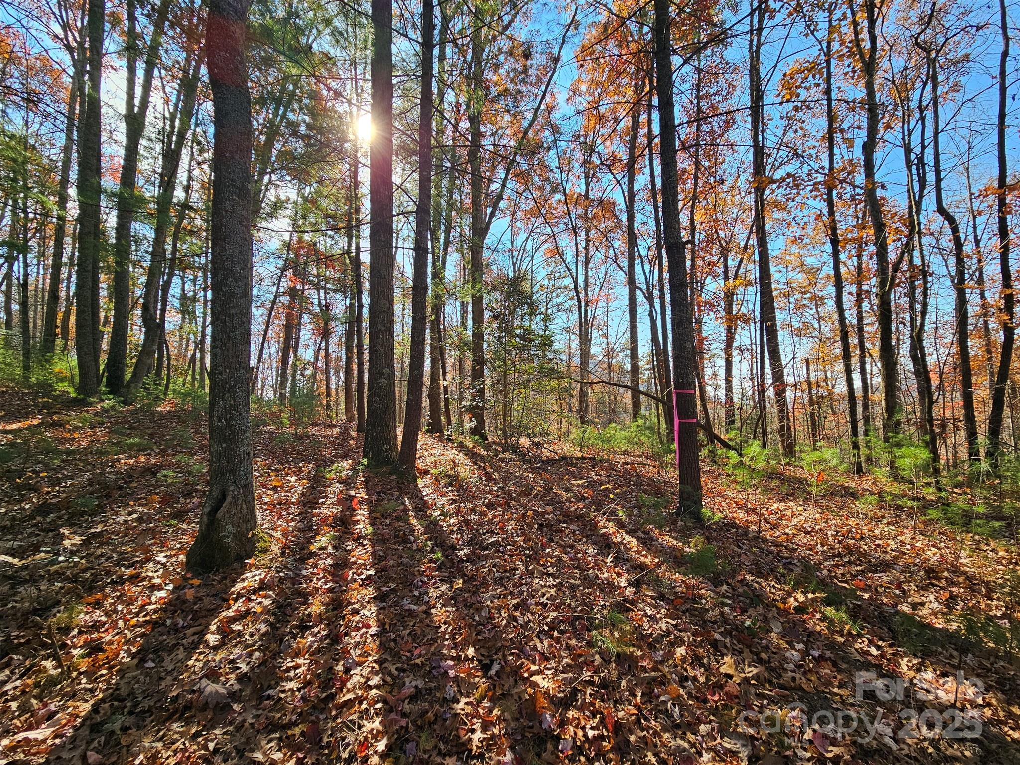 9999-17 Bob Barnwell Road Asheville NC 28803