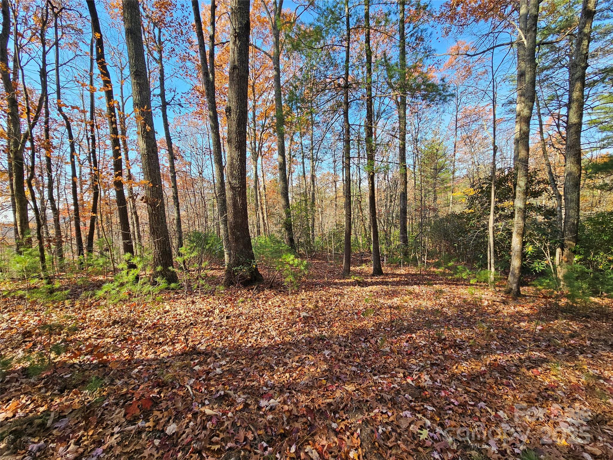 9999-17 Bob Barnwell Road Asheville NC 28803