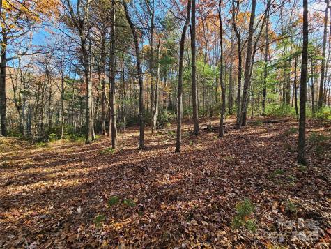 9999-17 Bob Barnwell Road Asheville NC 28803