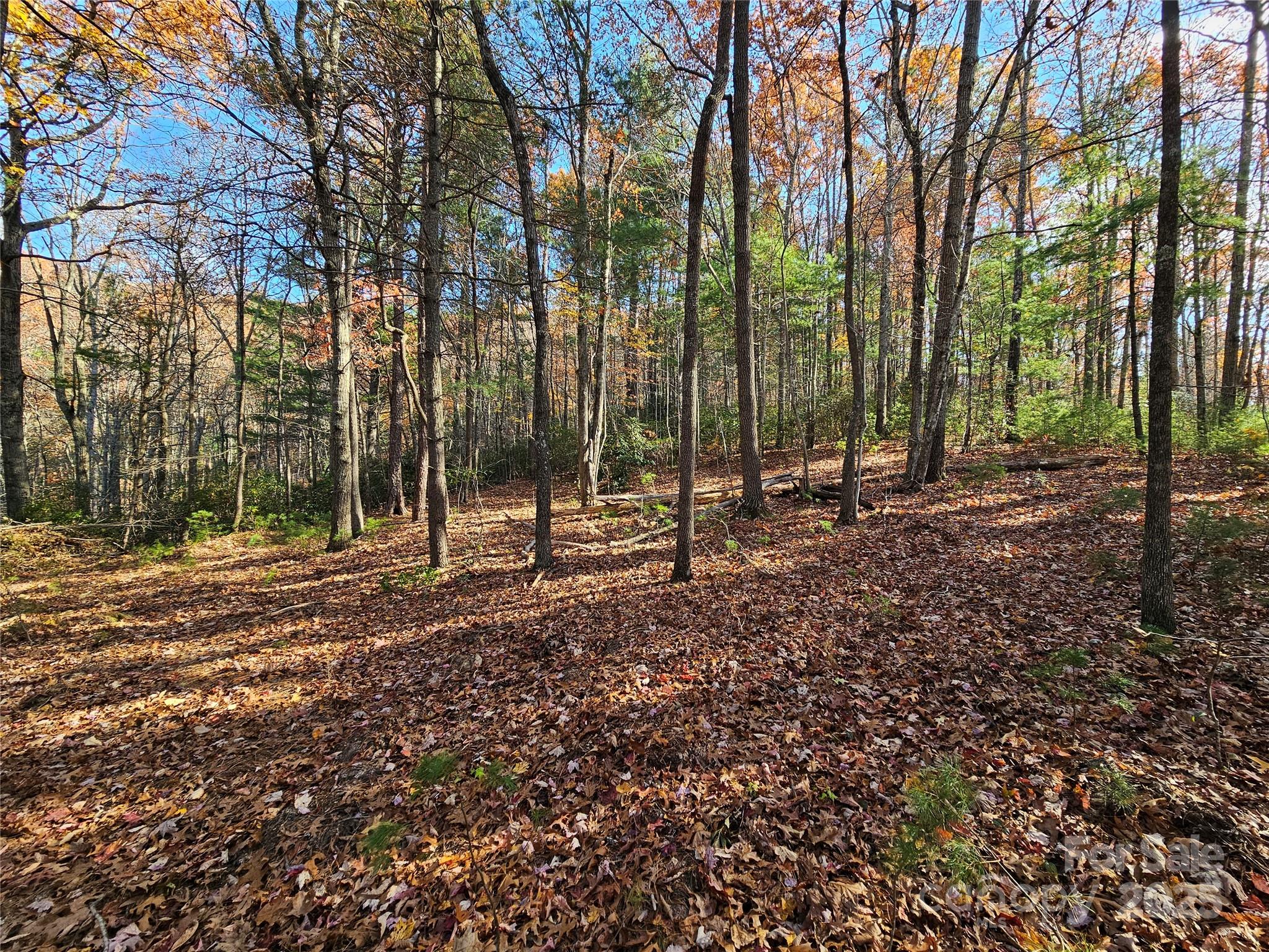 9999-17 Bob Barnwell Road Asheville NC 28803