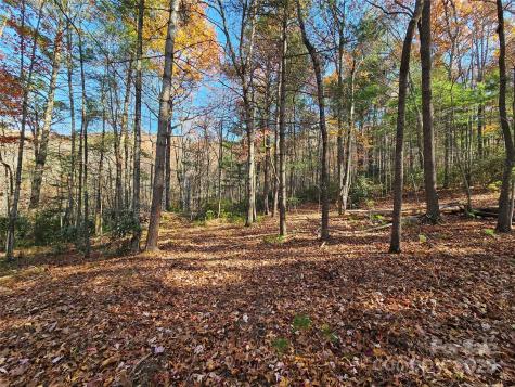 9999-17 Bob Barnwell Road Asheville NC 28803