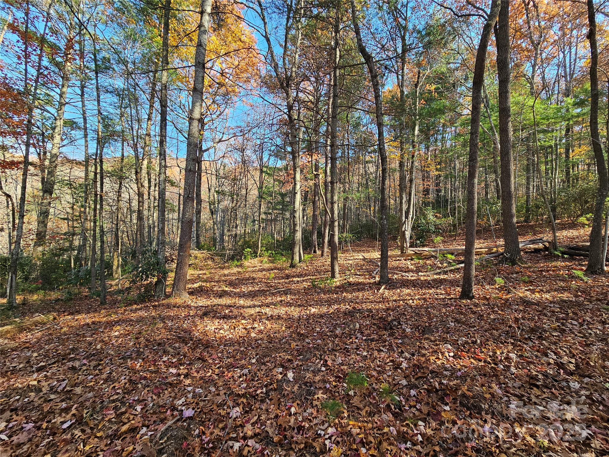 9999-17 Bob Barnwell Road Asheville NC 28803