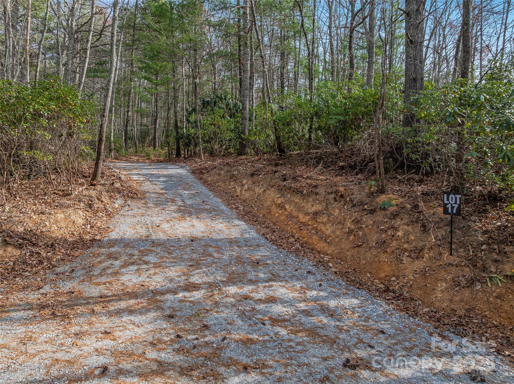 9999-17 Bob Barnwell Road Asheville NC 28803