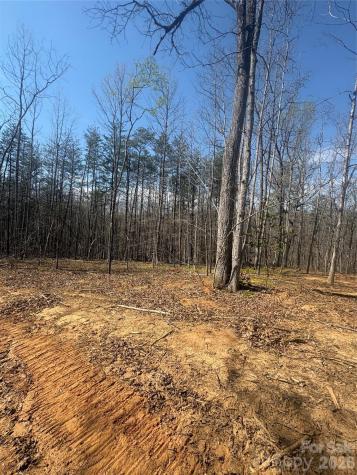 Tbd Avenida De Oro Road Morganton NC 28655