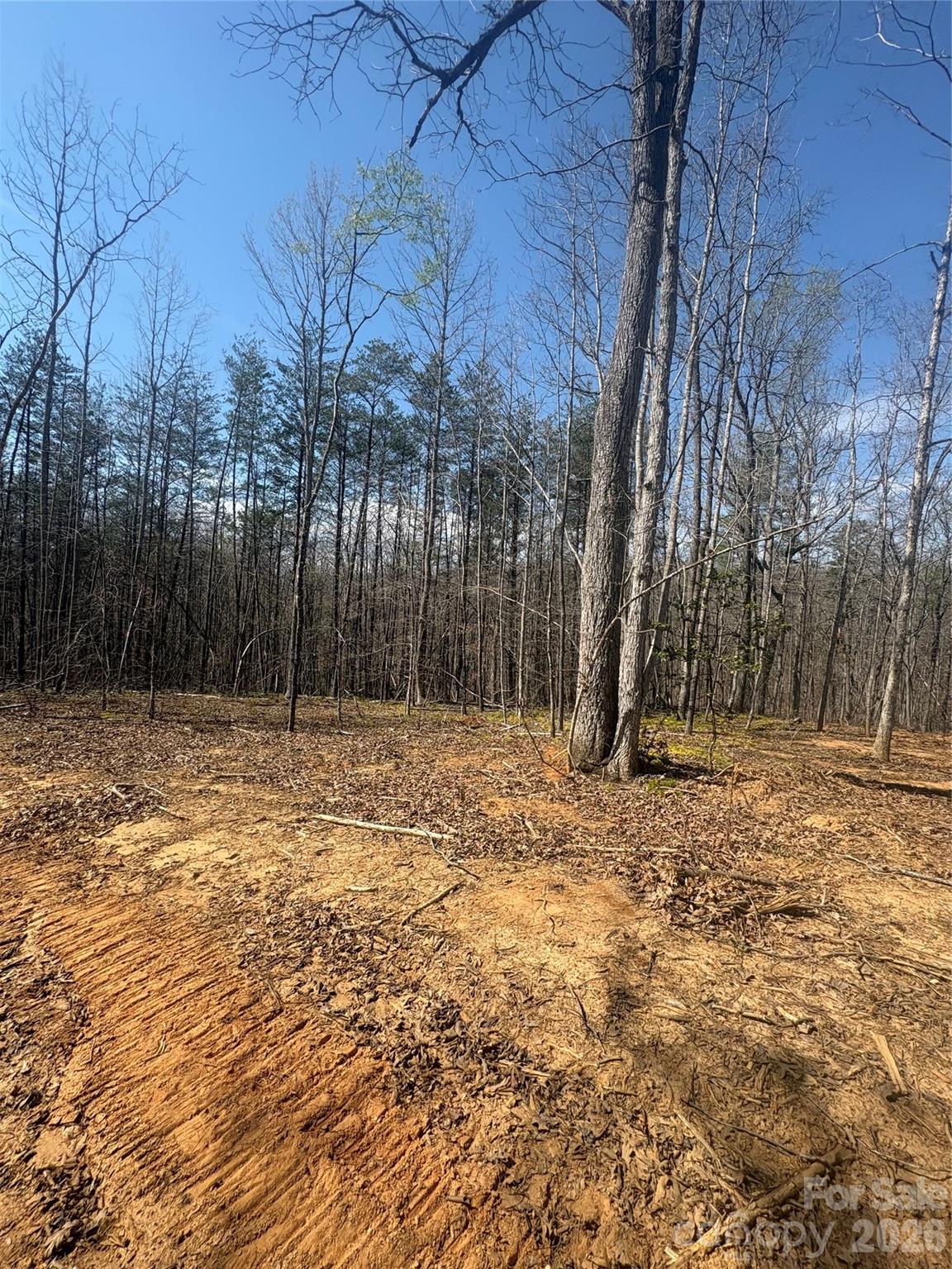 Tbd Avenida De Oro Road Morganton NC 28655
