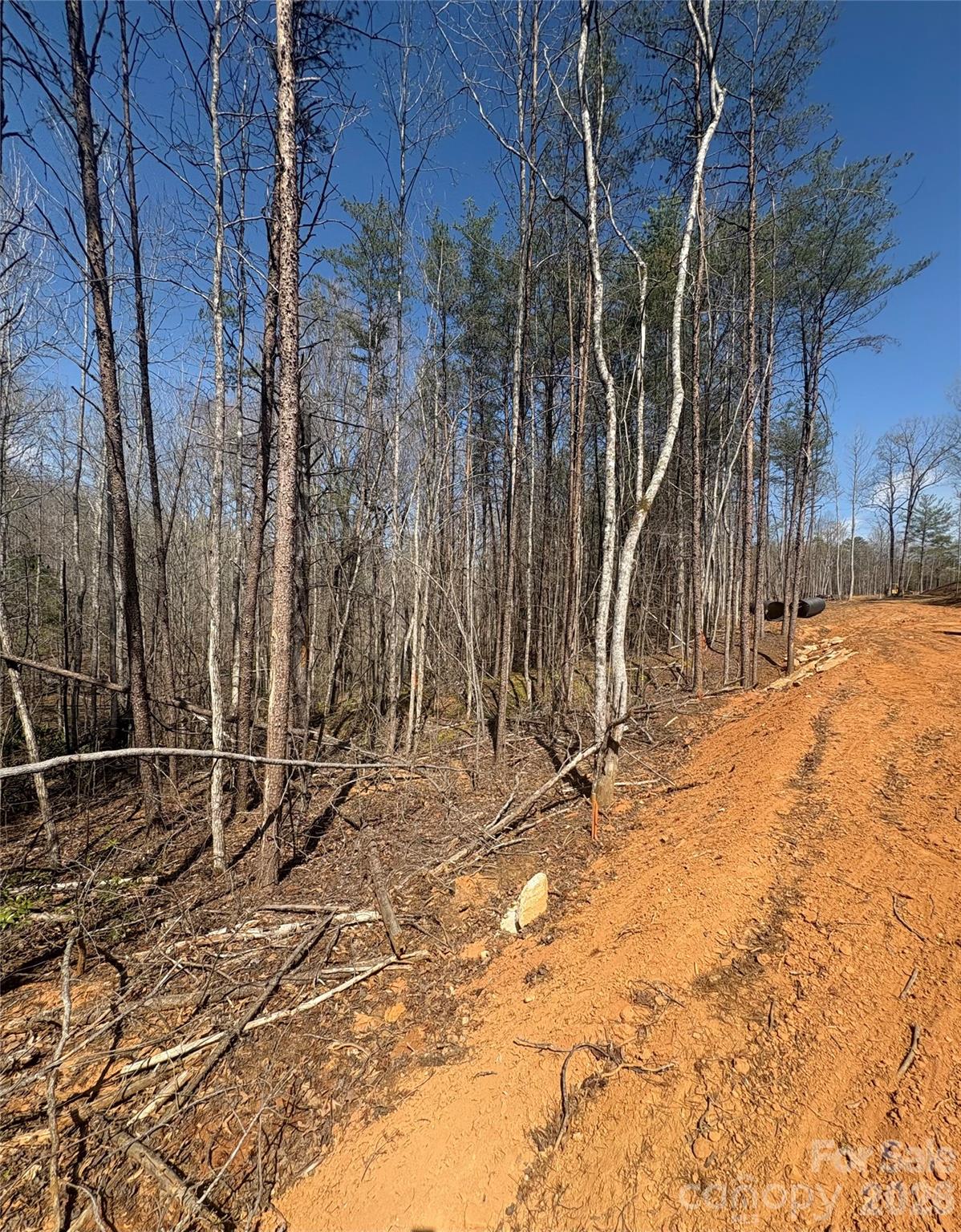 Tbd Avenida De Oro Road Morganton NC 28655