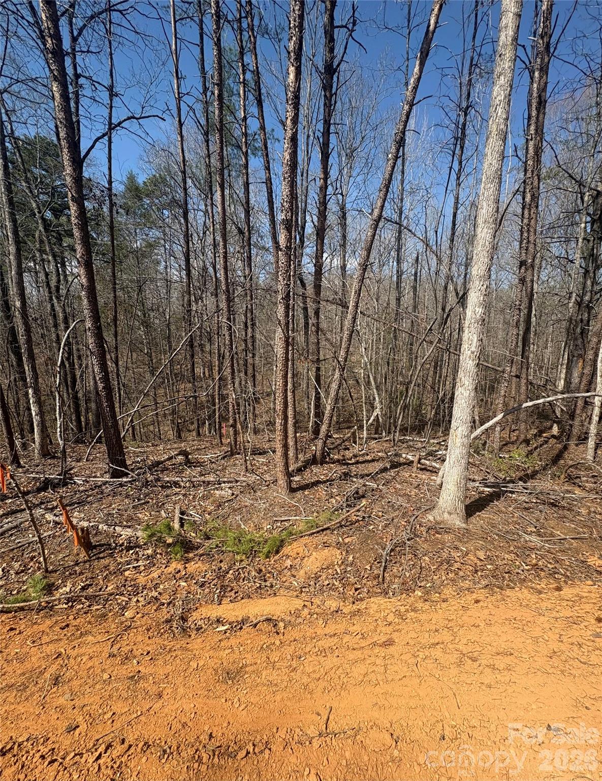 Tbd Avenida De Oro Road Morganton NC 28655