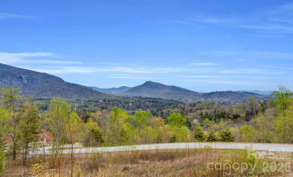 0 Clear Creek Trail Lake Lure NC 28746
