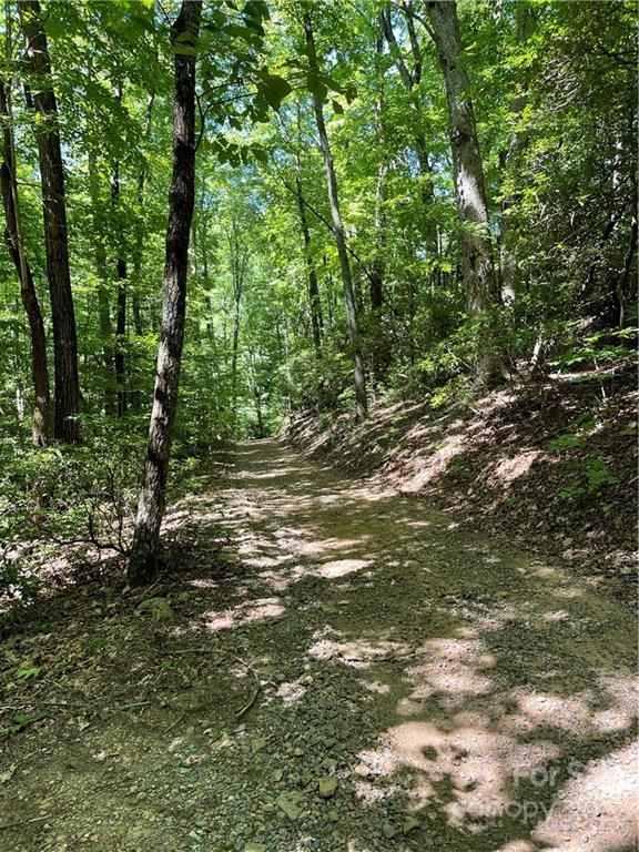 543 Melrose Lake Road Saluda NC 28773
