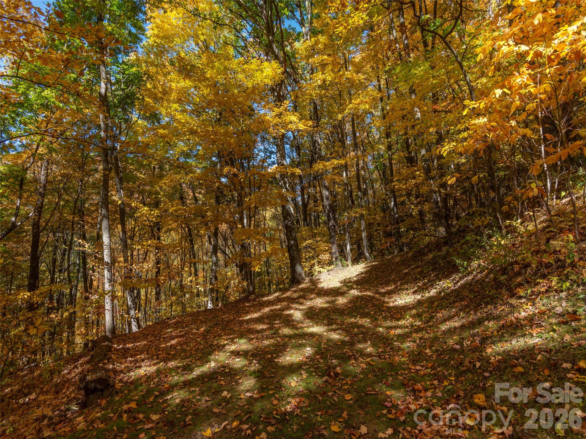 0 Legend Road Waynesville NC 28786