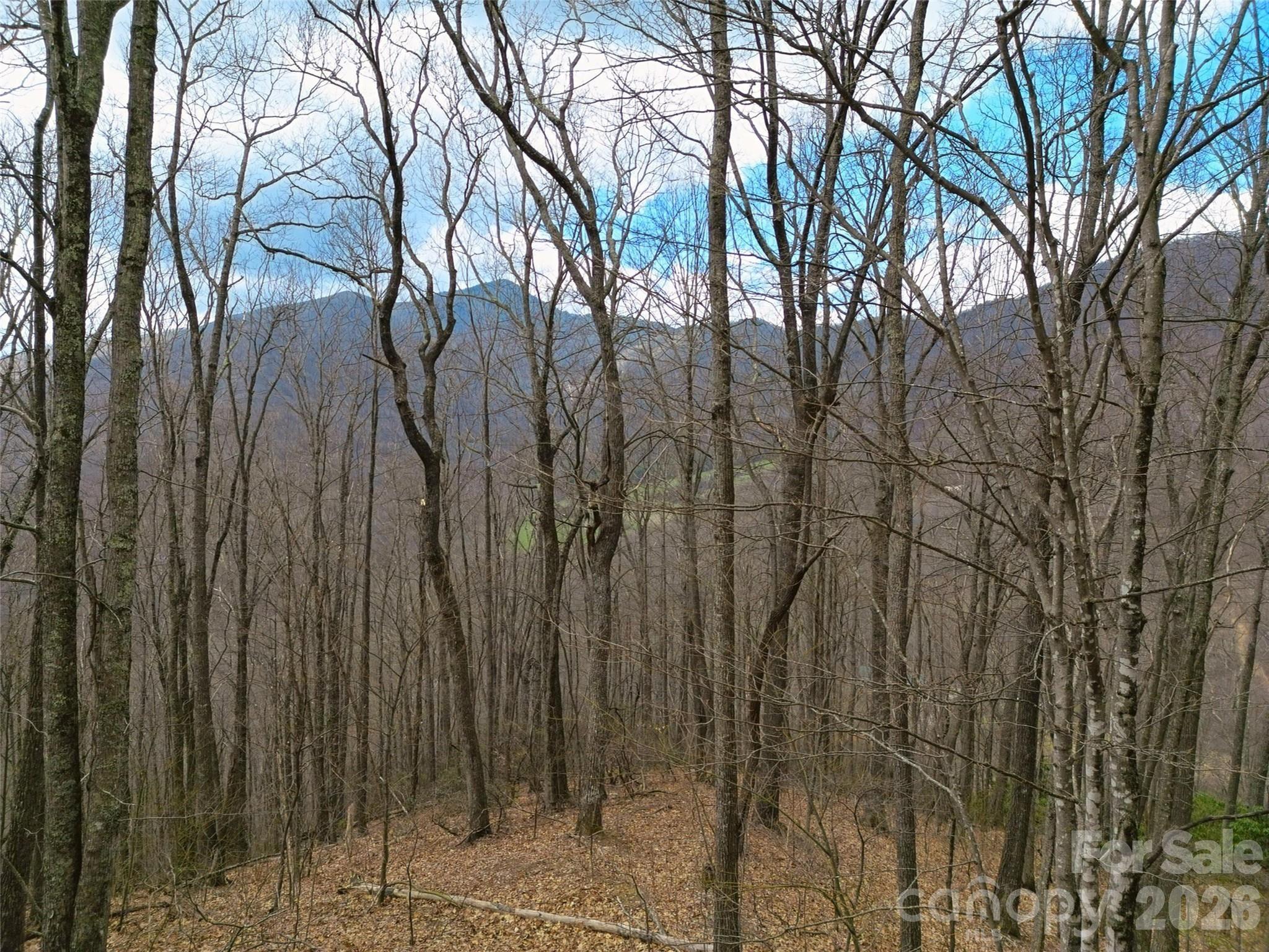 0 Legend Road Waynesville NC 28786