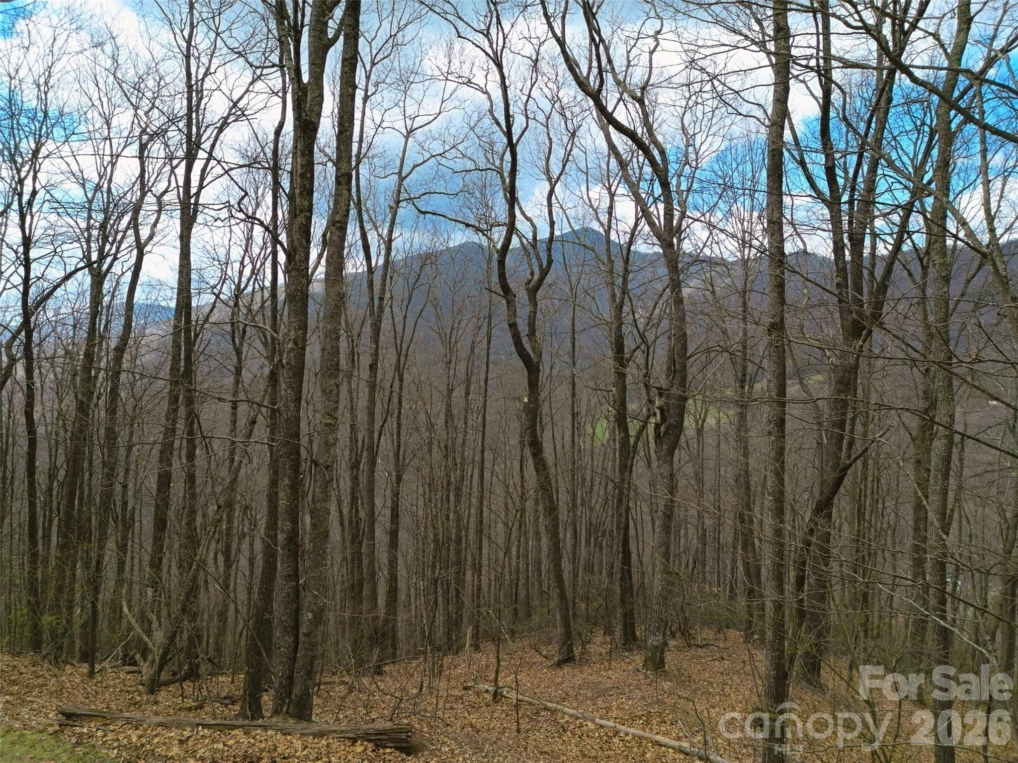 0 Legend Road Waynesville NC 28786