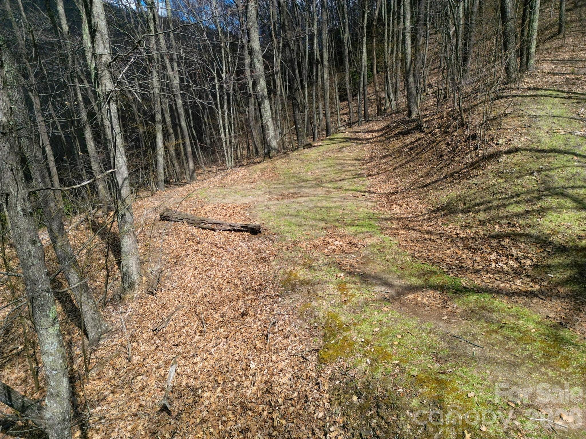 0 Legend Road Waynesville NC 28786